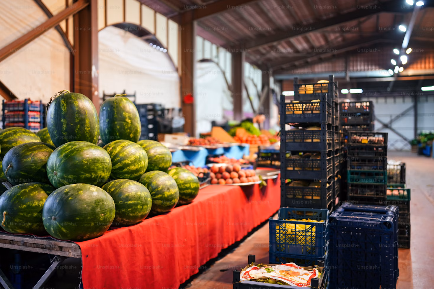 Importation et distribution d’équipements agricoles à San Pedro